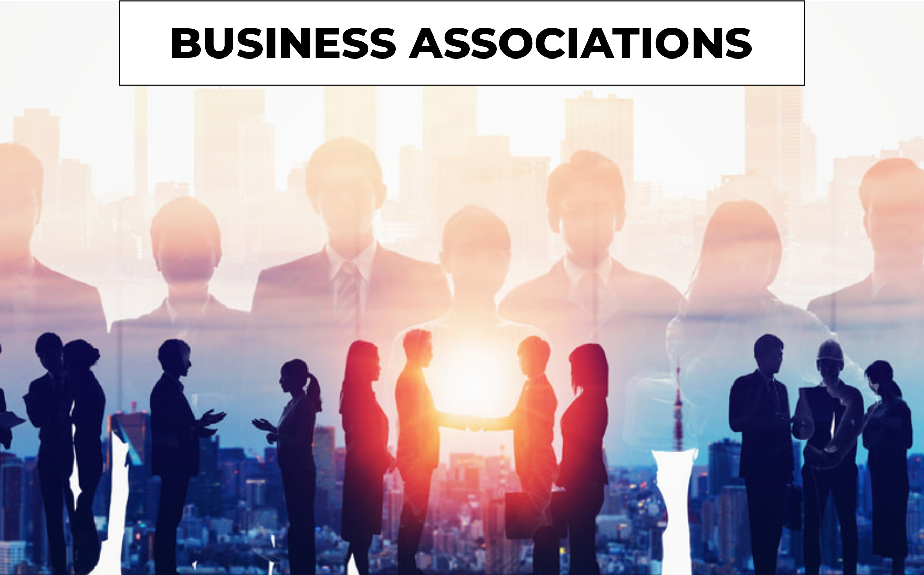 Business association
